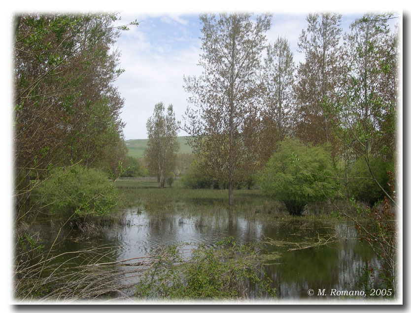 Laghi......della SICILIA